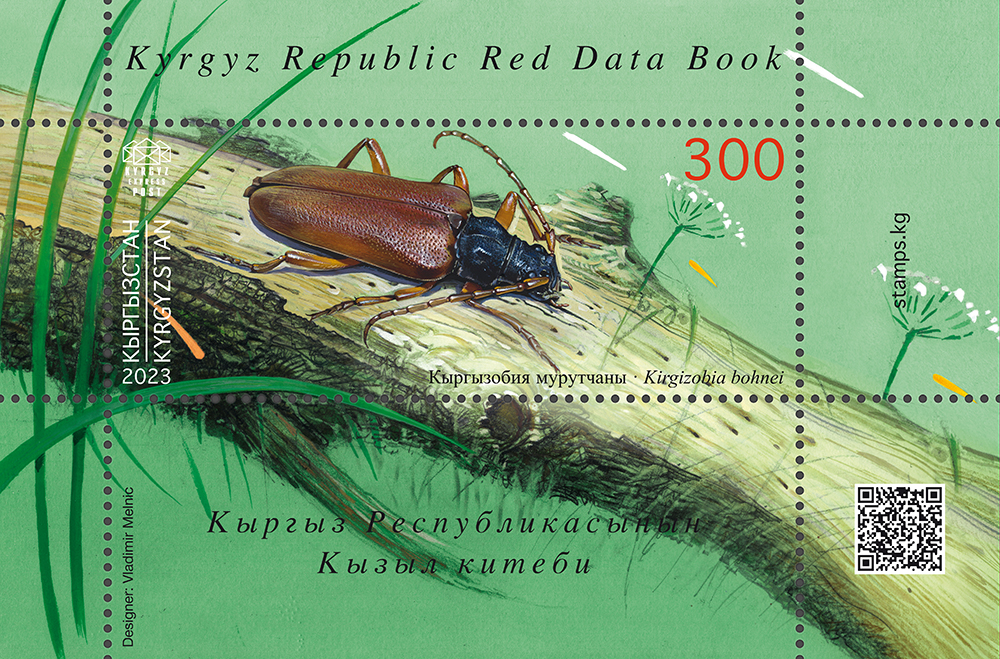 214B. The Kirghizobia Longicorn Beetle