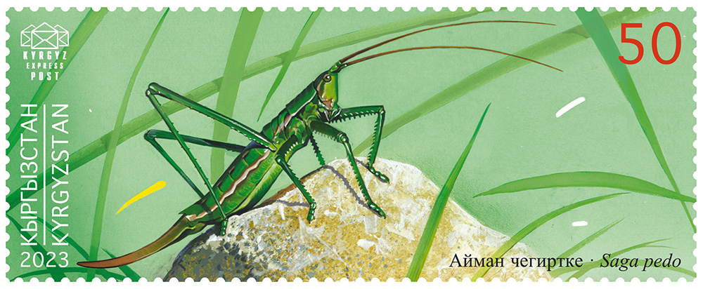 The Matriarchal Katydid, Predatory Bush Cricket stamp