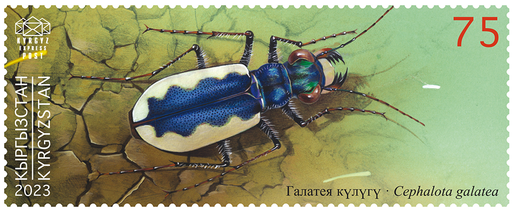 The Galatea Tiger Beetle stamp