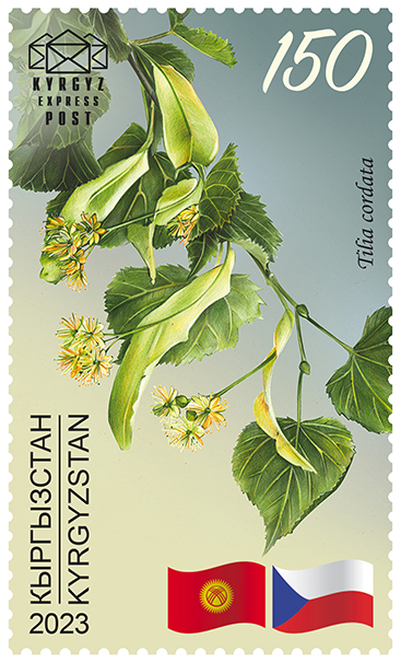 Small-leaved Linden stamps