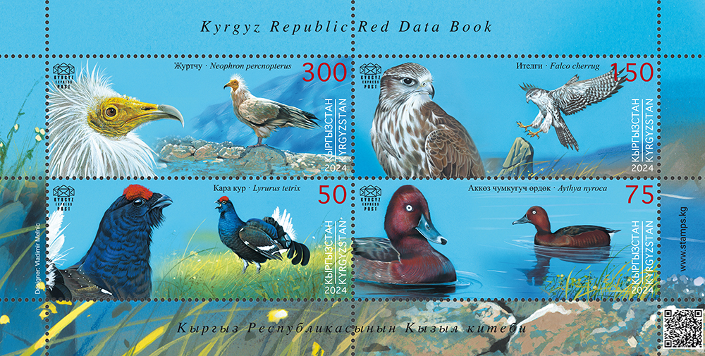 red book birds