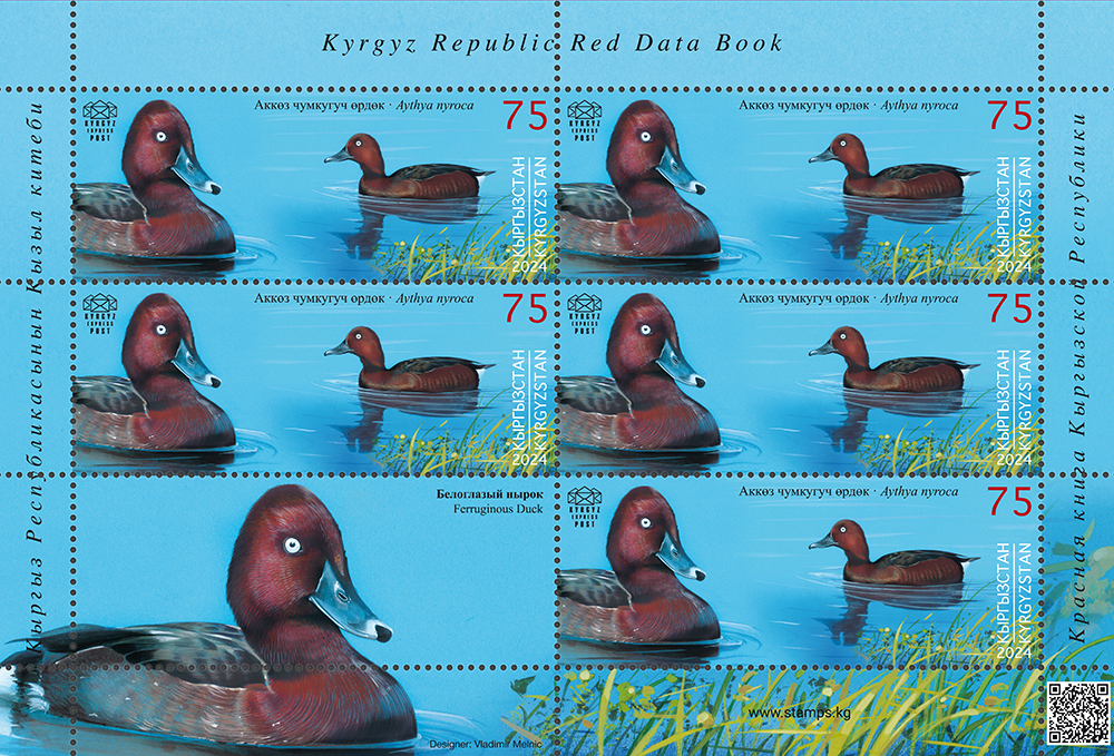The Ferruginous Duck stamps