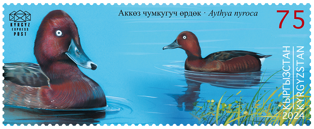 The Ferruginous Duck stamp