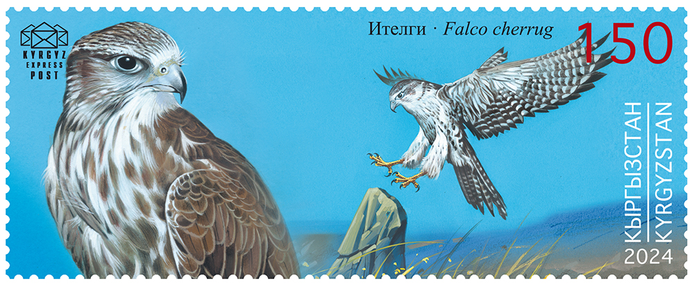 The Saker Falcon stamp