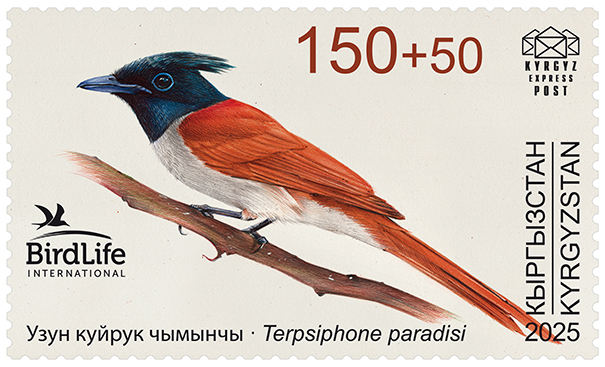 Asian paradise flycatcher stamp