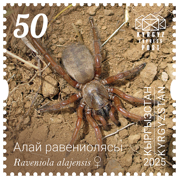The Alay trapdoor spider Stamp