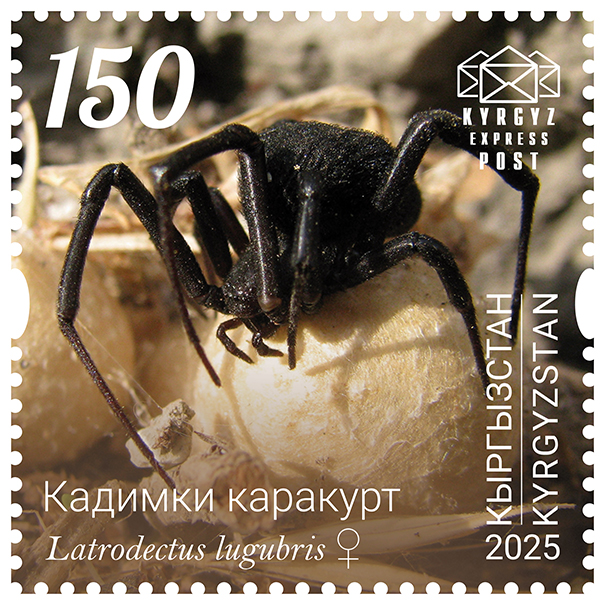 The Asian sorrowful black widow Stamp