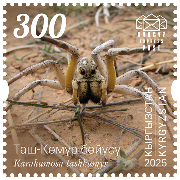 The Tash-Kumyr tarantula wolf spider Stamp