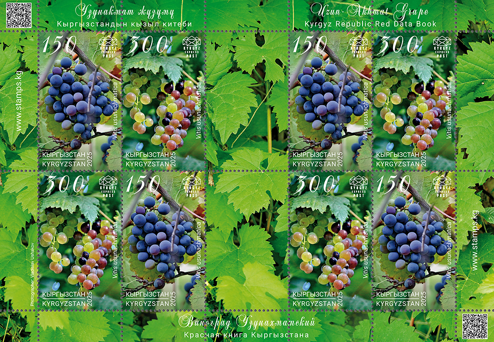 Grapes stamps