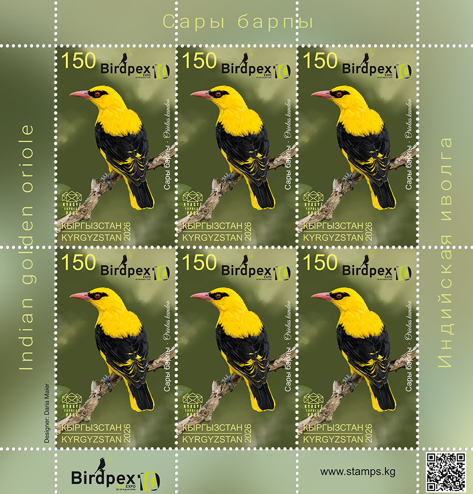 The Indian golden oriole