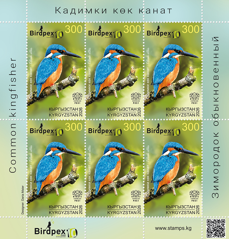 The Common kingfisher
