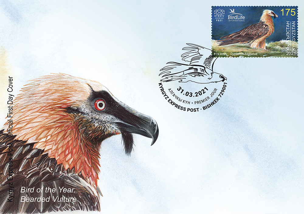 F086. The Bearded Vulture