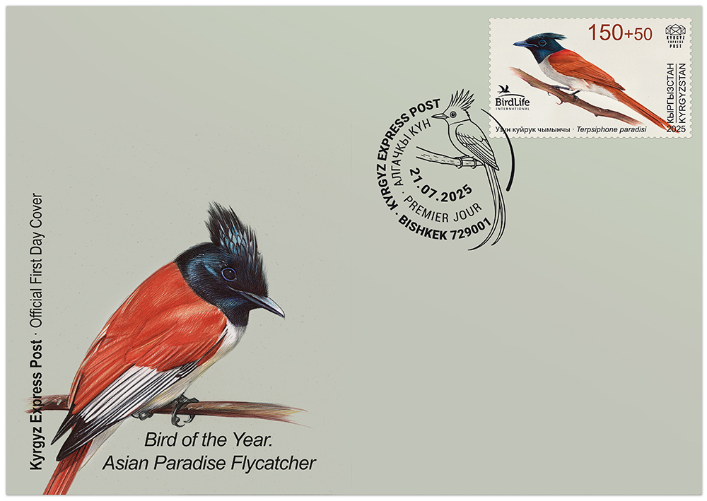 Asian paradise flycatcher FDC