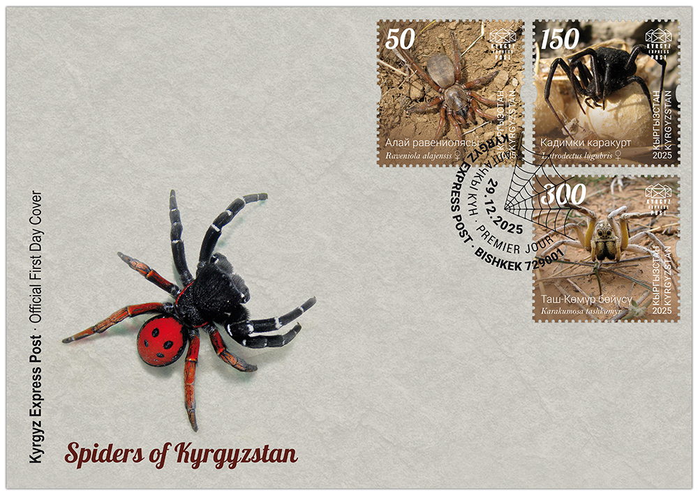 spider FDC