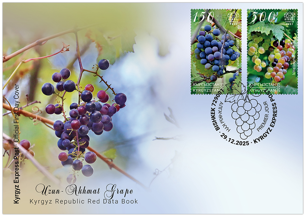Grapes FDC