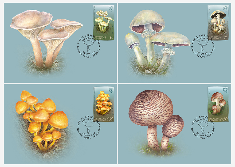 K040-43. Poisonous Mushrooms of Kyrgyzstan