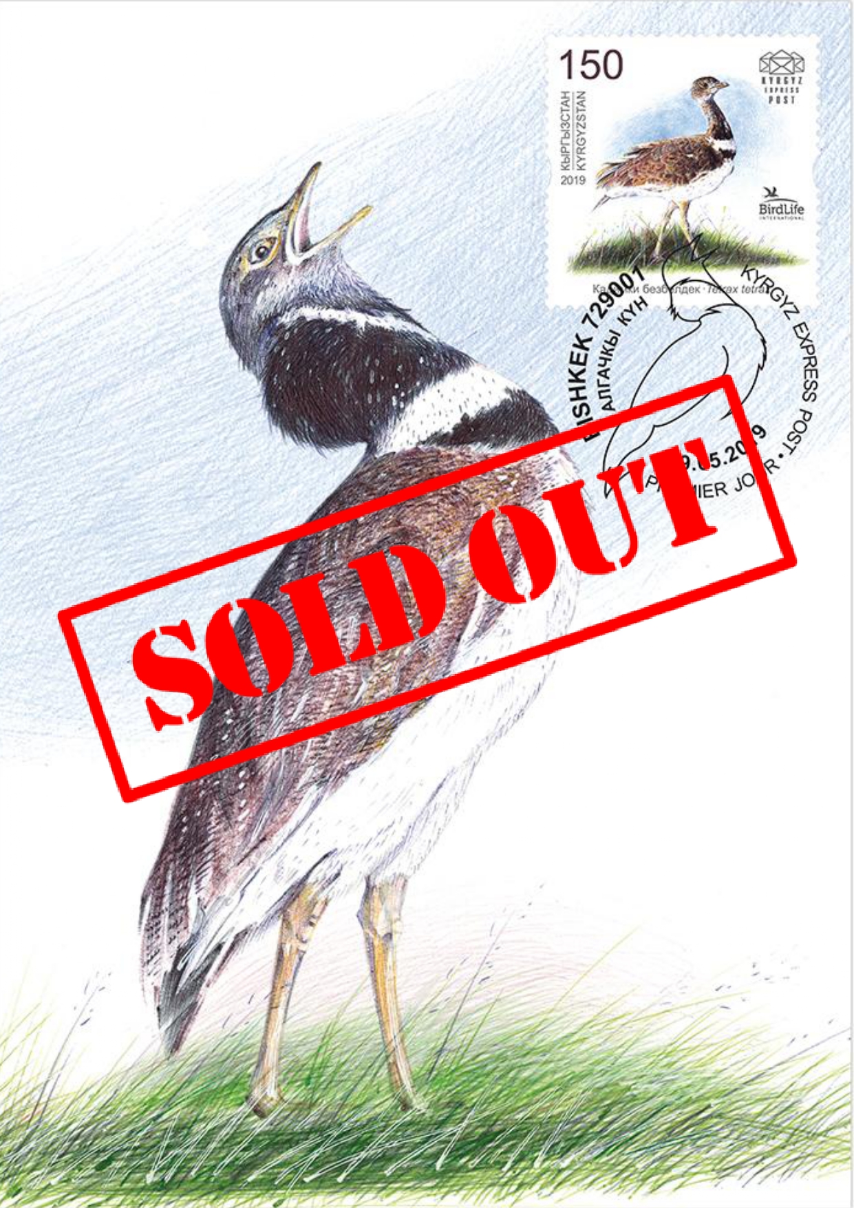 K048. The Little Bustard