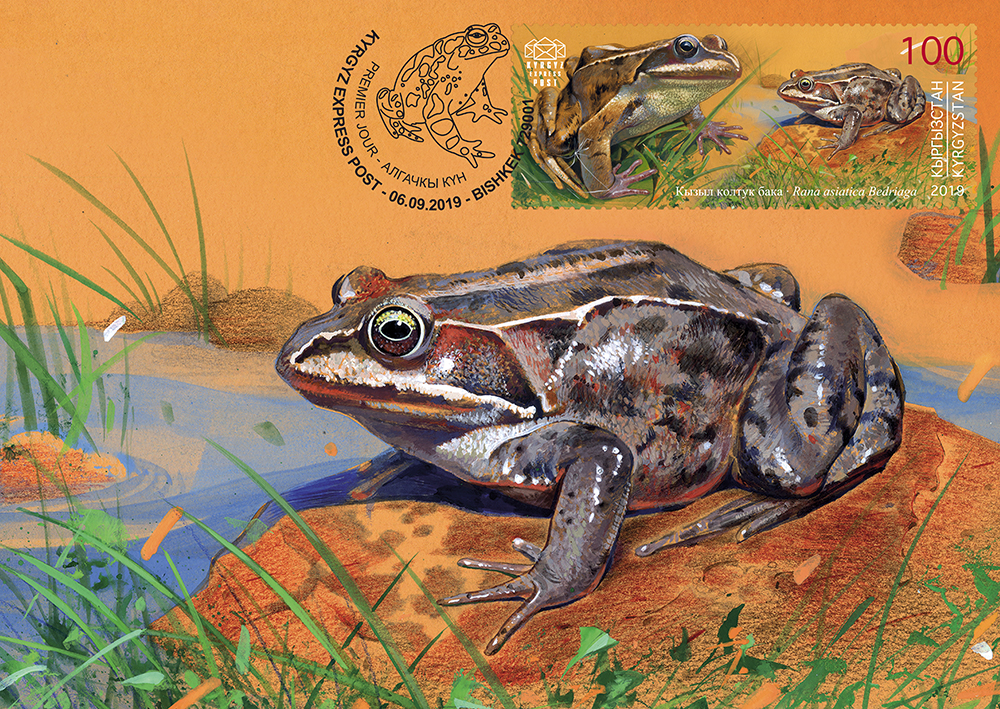 K052. Central Asiatic frog