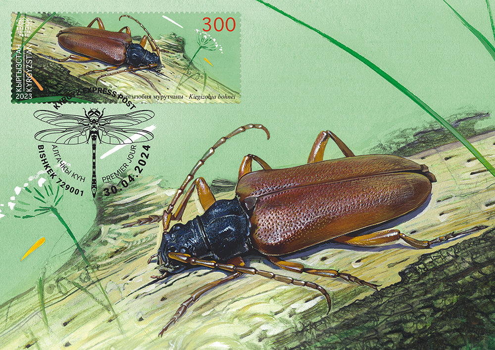 K121. The Kirghizobia Longicorn Beetle
