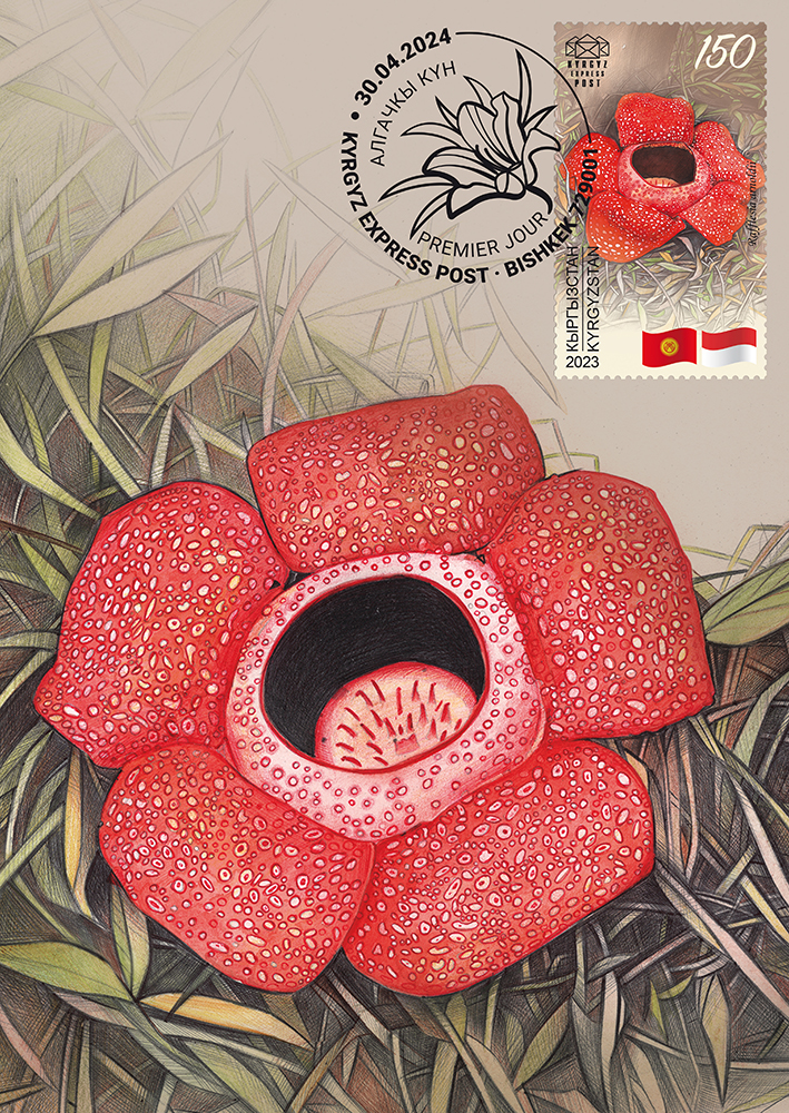 The Arnold's Rafflesia maximumcard