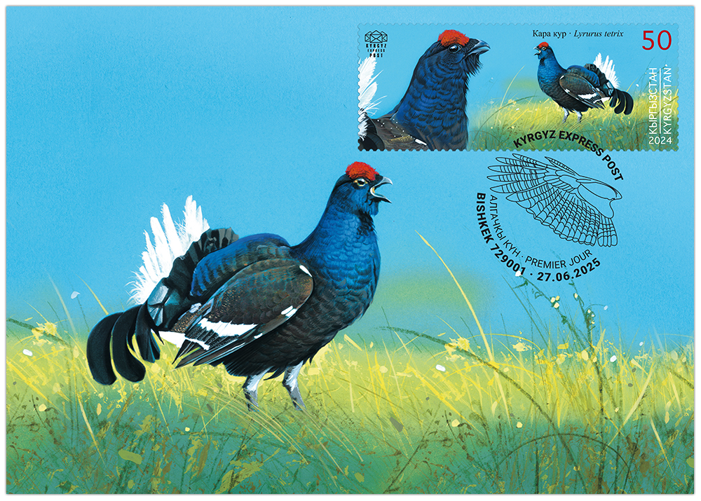 The Black Grouse maximum card