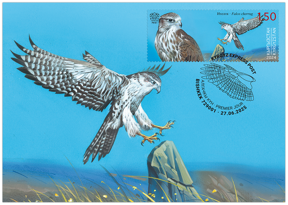 The Saker Falcon maximum card