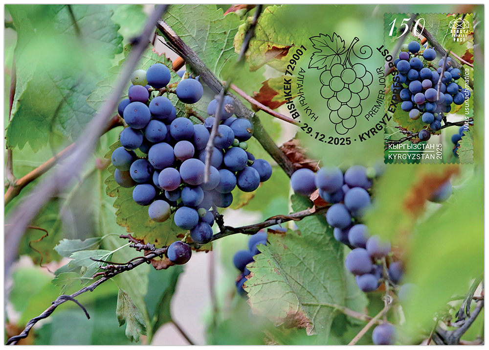 Grapes maximum cards