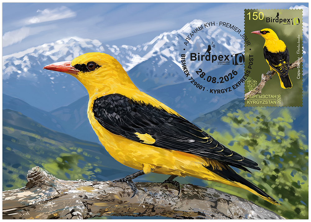 The Indian golden oriole