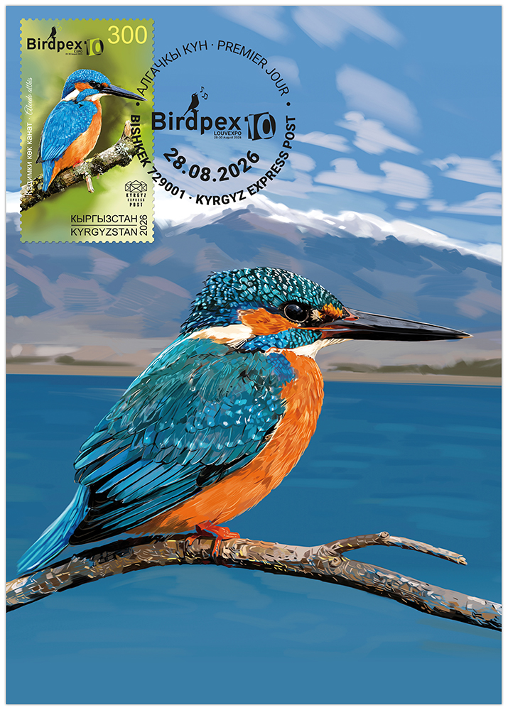 The Common kingfisher